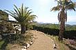 Img 6590