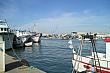 Poto pesca isla cristina
